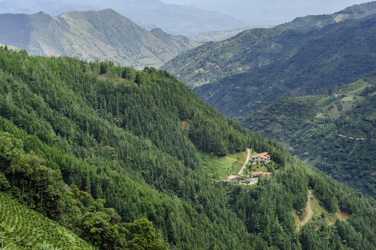 Finca Boutique El Diamante Salgar  Zewnętrze zdjęcie