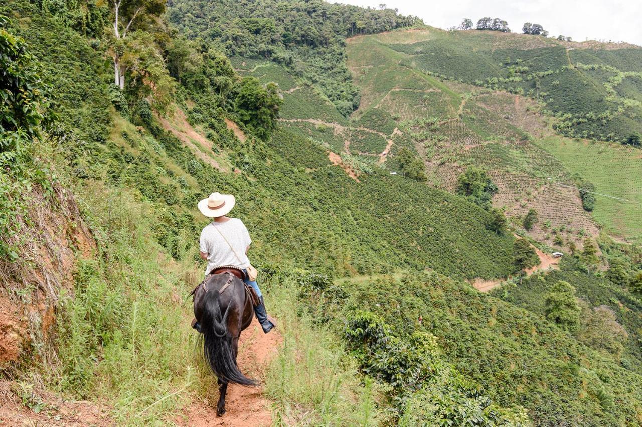 Finca Boutique El Diamante Salgar  Zewnętrze zdjęcie